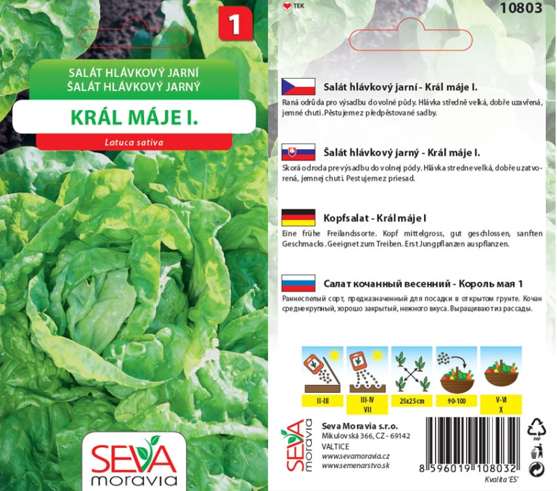 Osiva Moravia Salát hlávkový Král Máje