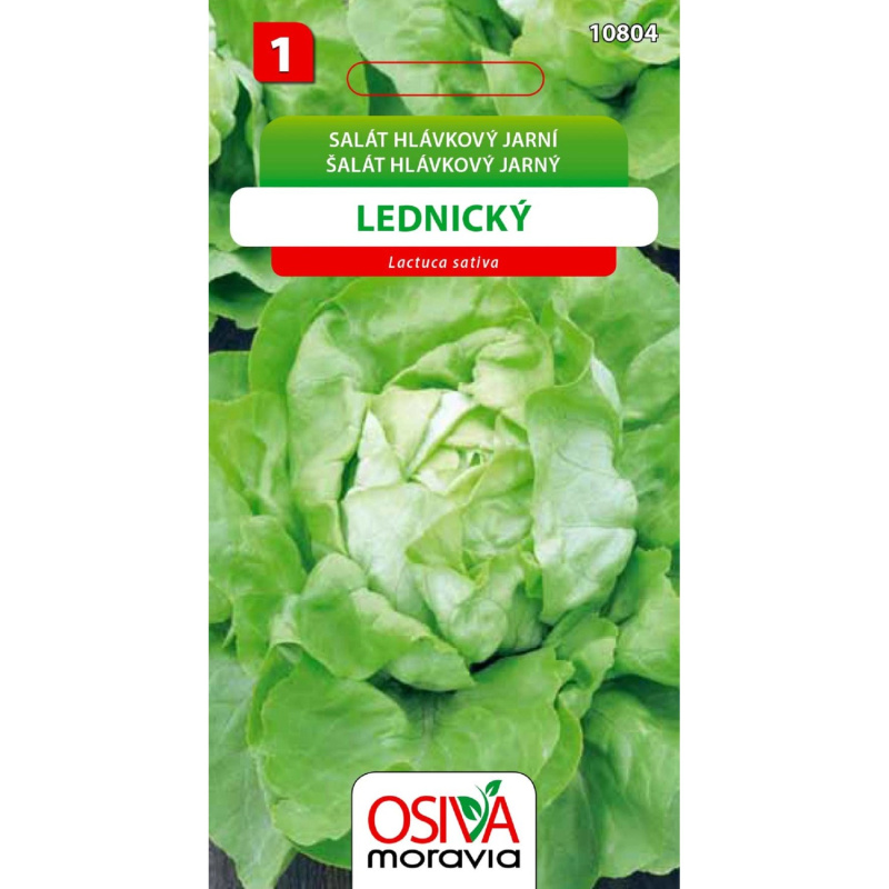 Osiva Moravia Salát hlávkový Lednický