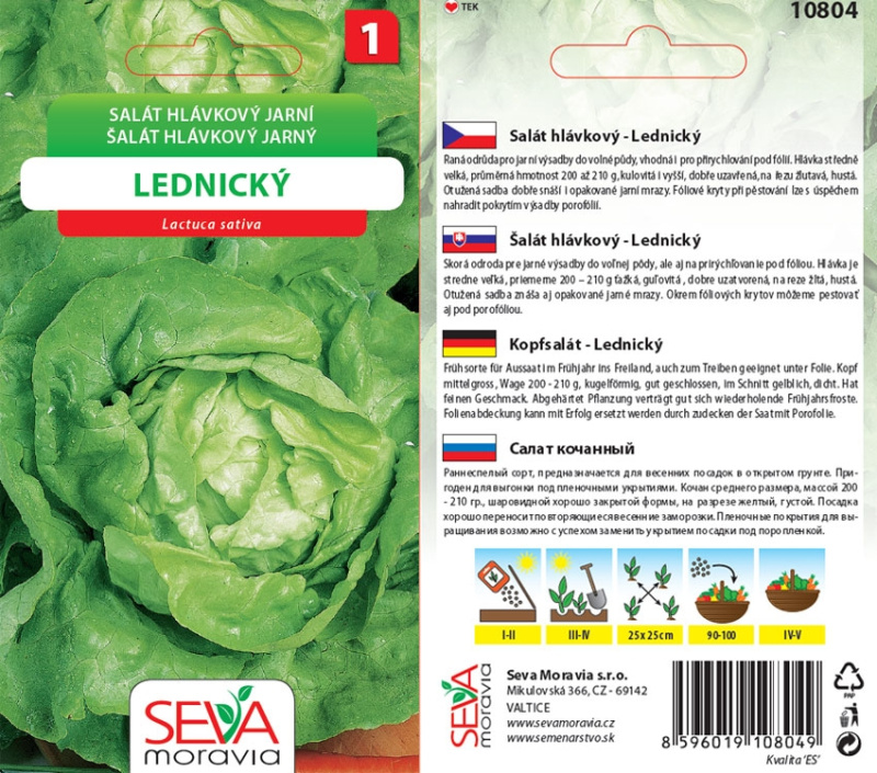 Osiva Moravia Salát hlávkový Lednický