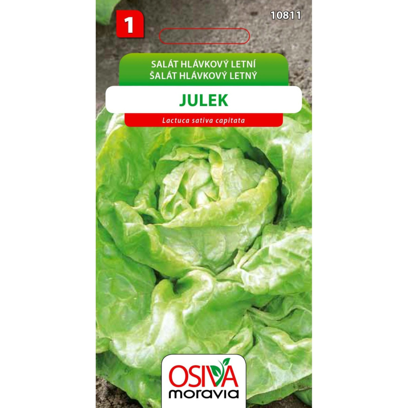 Semínka Salát hlávkový letní Julek (Lactuca sativa capitata)