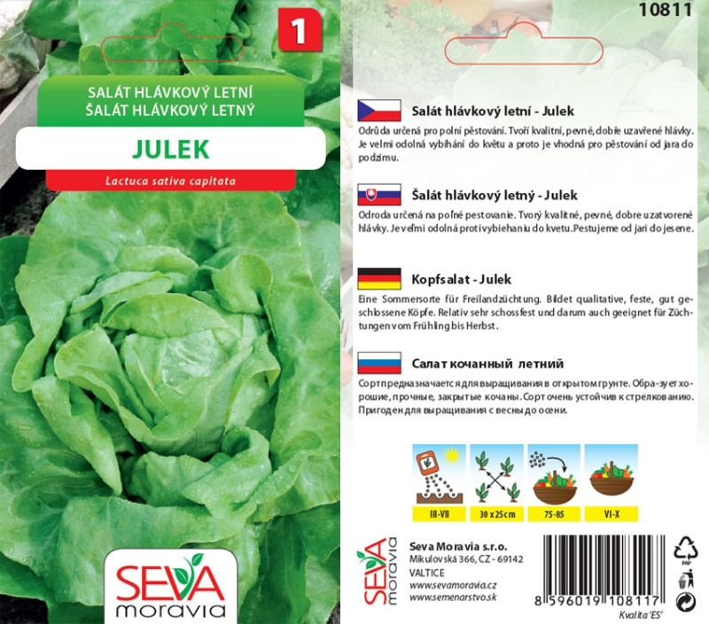 Semínka Salát hlávkový letní Julek (Lactuca sativa capitata)