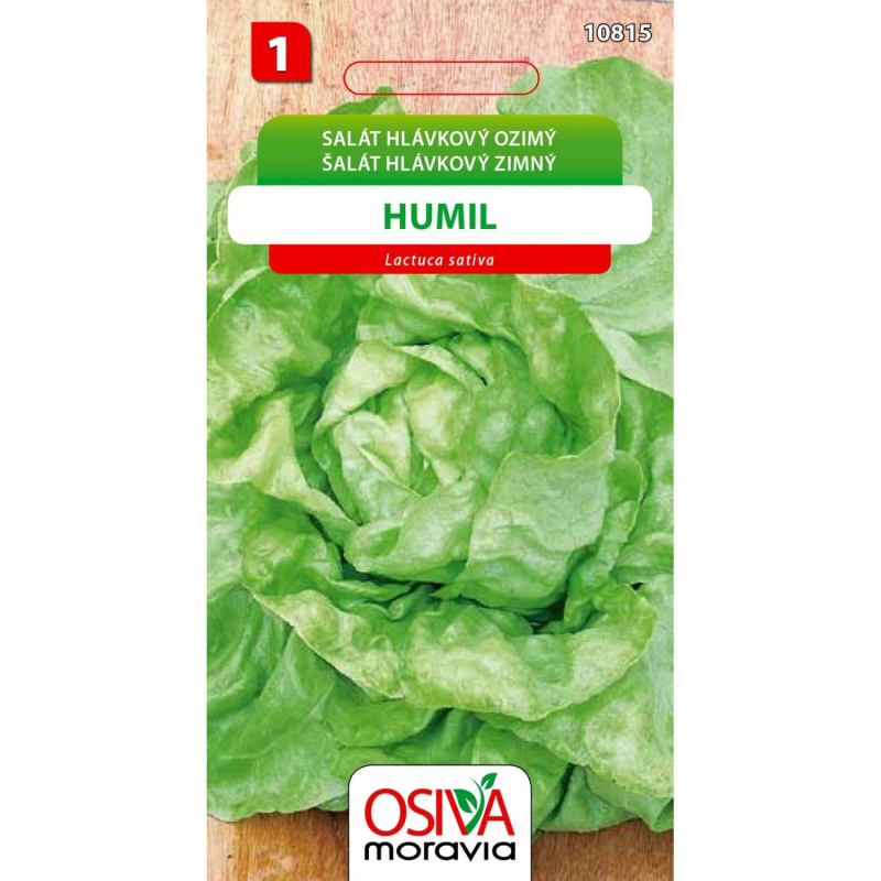 Semínka Salát hlávkový ozimý (Lactusa sativa)