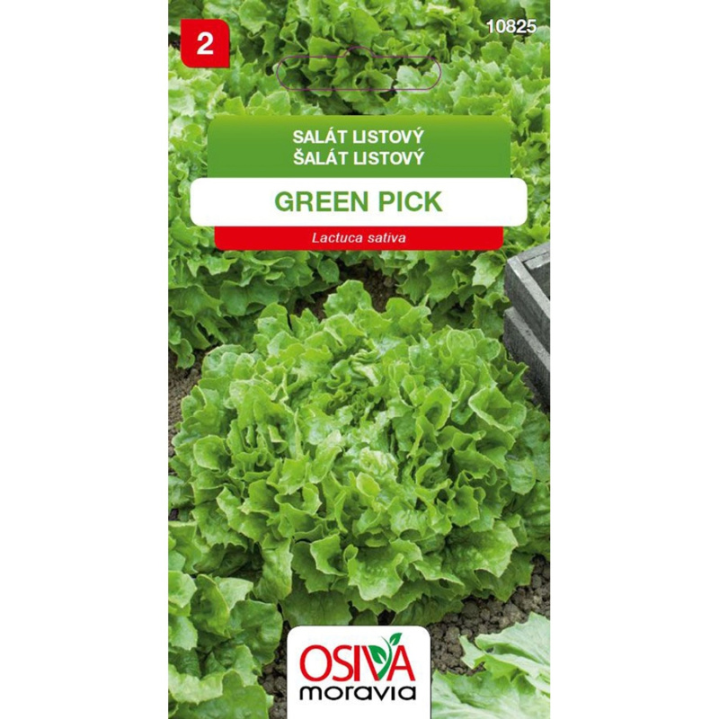 OSIVA Moravia Salát listový "Green Pick" (Lactuca sativa)