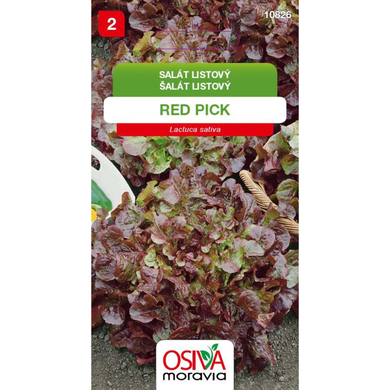 OSIVA Moravia Salát listový "Red Pick" (Lactuca sativa)