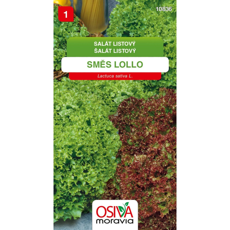 Salát Listový - Směs Lollo (Lactuca sativa)