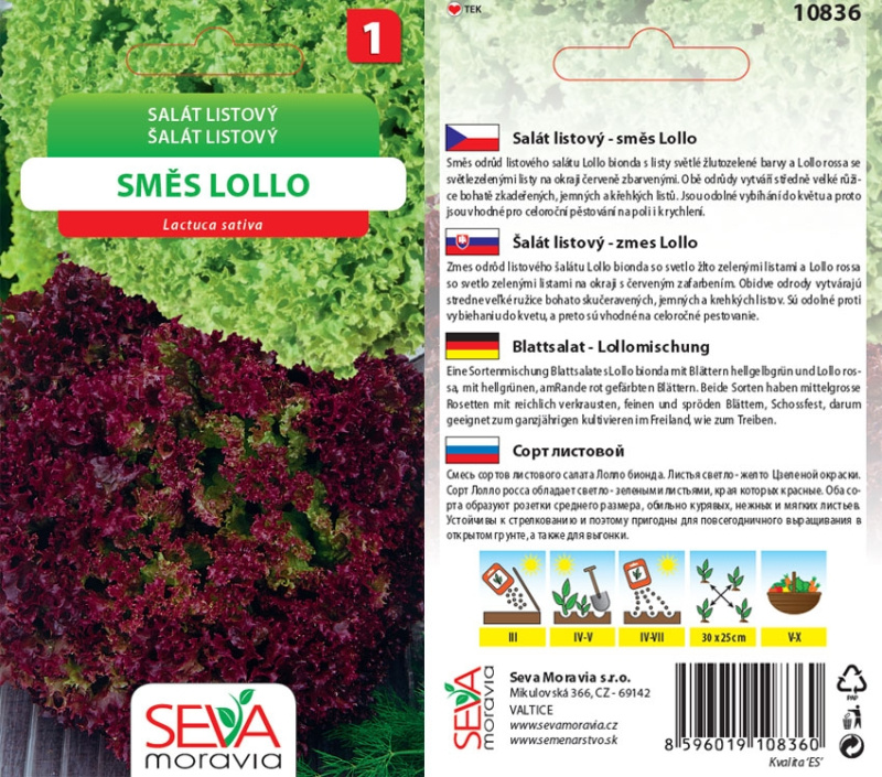 Salát Listový - Směs Lollo (Lactuca sativa)
