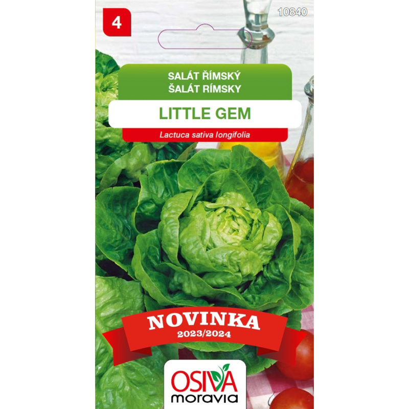 Aros Semena Salát listový Little Gem (Lactuca longifolia)