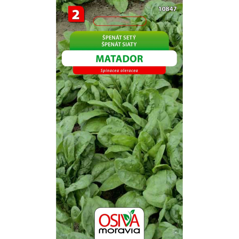 Semínka Špenát setý Matador (Spinacea oleracea)