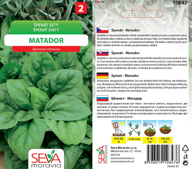 Semínka Špenát setý Matador (Spinacea oleracea)