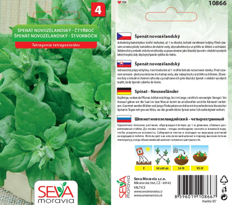 Špenát Novozélandský (Tetragonia tetragonioides)