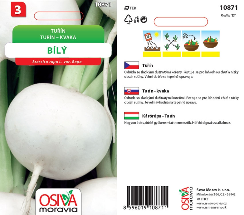 Semínka Tuřín (Brassica rapa L. var. Rapa)