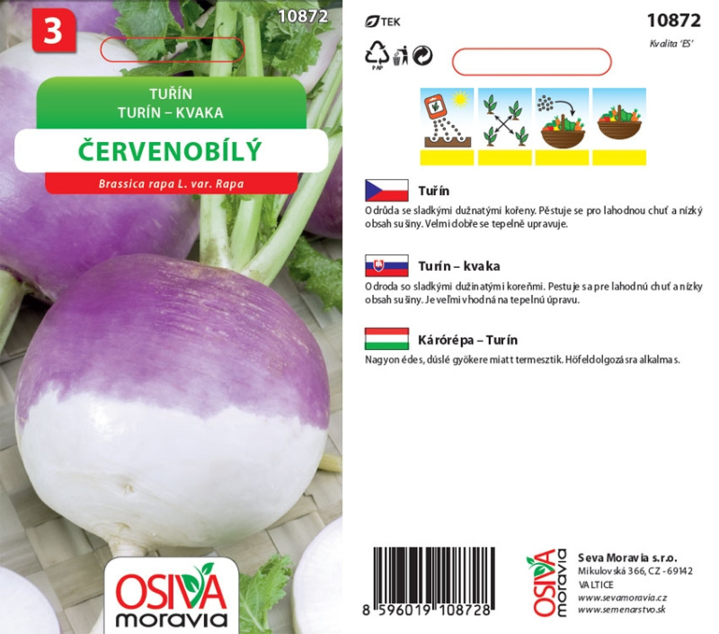 Semínka Tuřín červenobílý (Brassica rapa subsp. rapa)