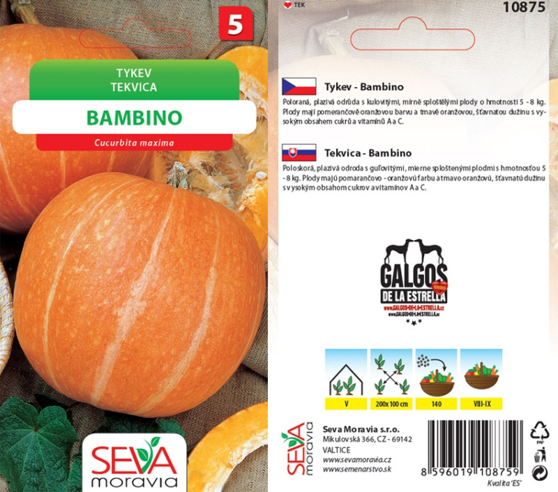 Semínka Tykev Bambino (Cucurbita maxima)