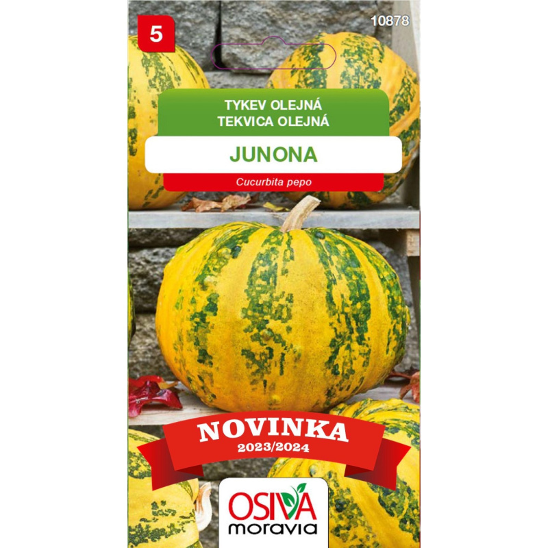 Aros Semena Tykev olejná Junona (Cucurbita pepo)
