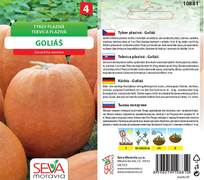 Semínka Tykev plazivá Goliáš (Cucurbita maxima)