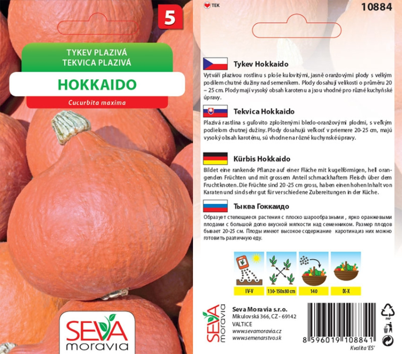 Tykev - Hokkaido (Cucurbita maxima)