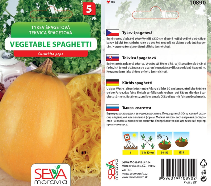Semínka Tykev špagetová Vegetable Spaghetti (Cucurbita pepa)