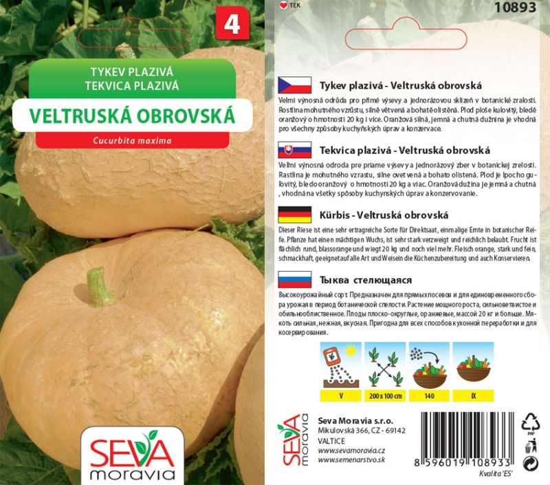 Tykev Plazivá - Veltruská Obrovská (Cucurbita maxima)