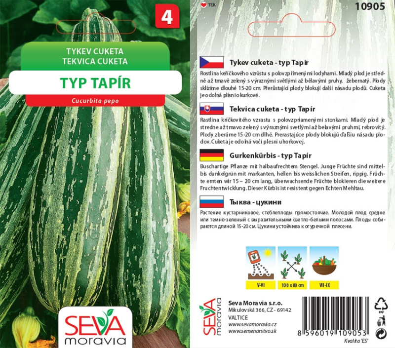 Tykev Cuketa - Tapír (Cucurbita pepo)