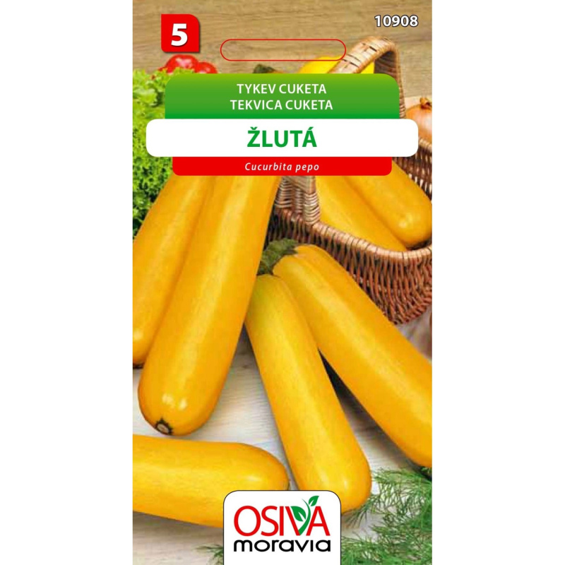Semínka Tykev cuketa žlutá (Cucurbita pepo)