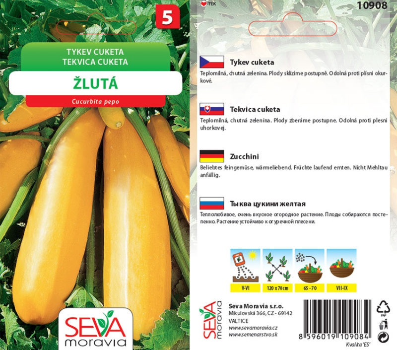 Semínka Tykev cuketa žlutá (Cucurbita pepo)