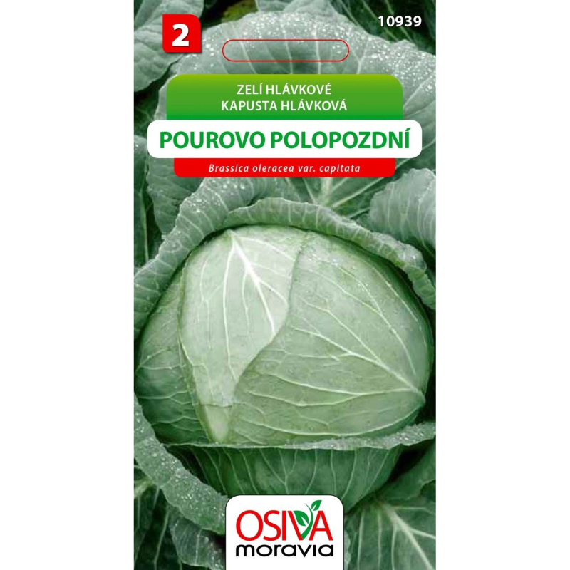 Semínka Zelí hlávkové Pourovo polopozdní (Brassica oleracea var. capitata)