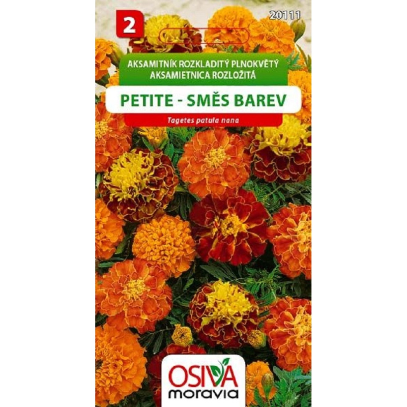 Semínka Aksamitník rozkladitý plnokvětý Petite směs barev (Tagetes patula nana)