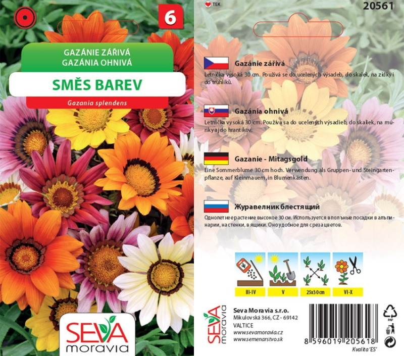 Semínka Gazánie zářivá směs barev (Gazania splendens)