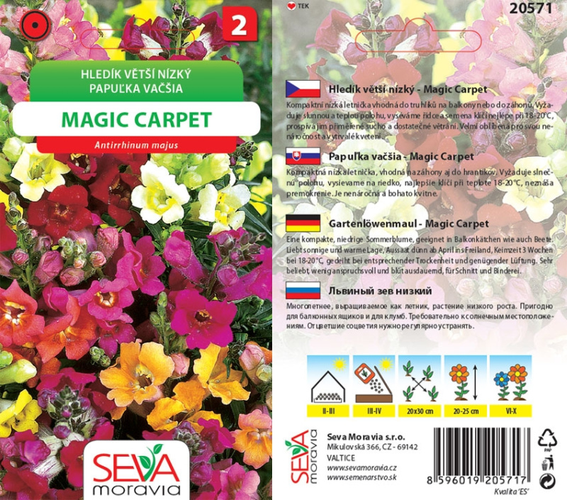 Semínka Hledík Větší nízký - Magic Carpet - směs (Antirrhinum majus pumilum)