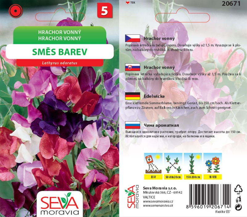 Semínka Hrachor vonný směs barev (Lathyrus odoratus)