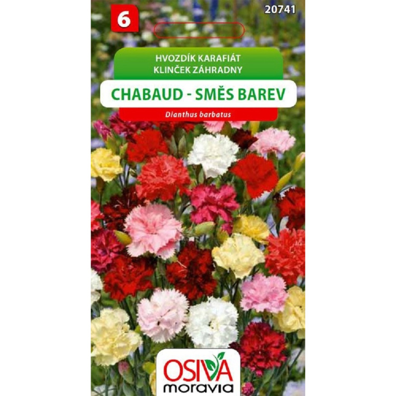 Semínka Hvozdík karafiát Chabaud směs barev (Dianthus barbatus)