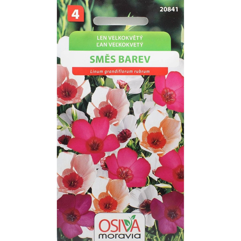 Semínka Len velkokvětý směs směs (Verbascum densiflorum)