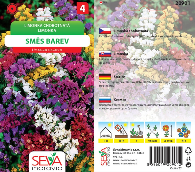 Semínka Limonka Chobotnatá - směs (Limonium sinuatum)