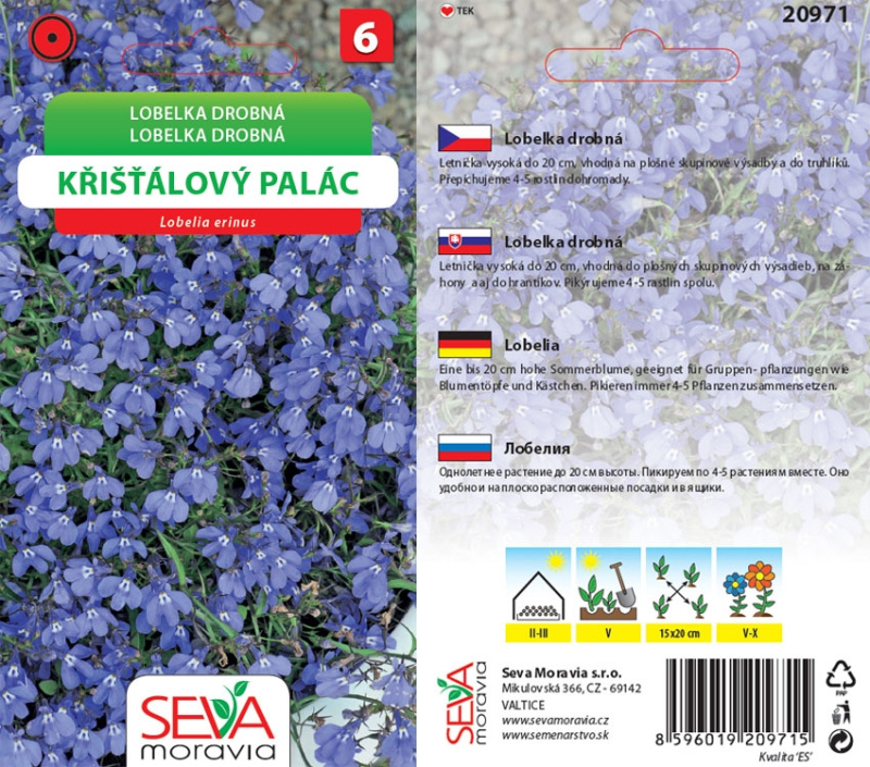 Semínka Lobelka drobná Křišťálový palác (Lobelia erinus)