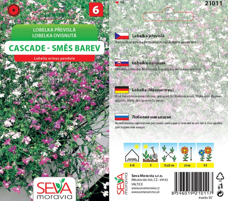 21011 Lobelka převislá Cascade 0,2g / 4209