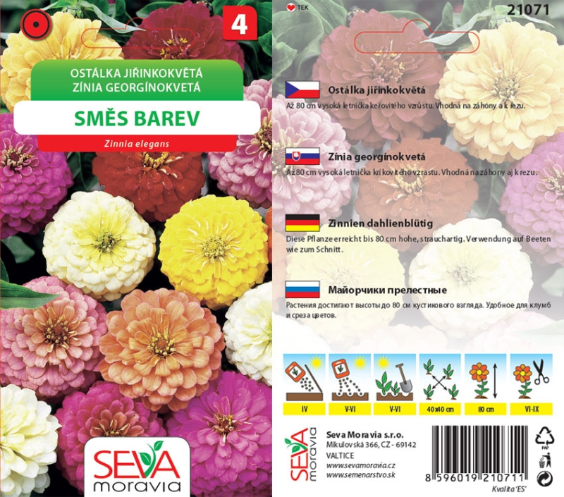 Semínka Ostálka jiřinkokvětá směs barev (Zinnia elegans)