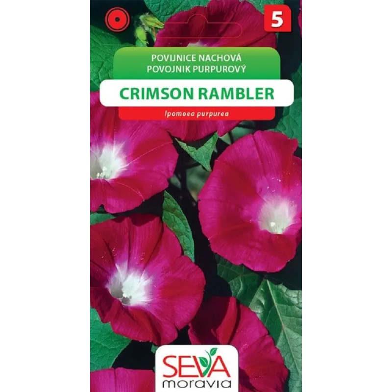 Semínka Povíjnice nachová Crimson Rambler (Ipomoea purpurea)