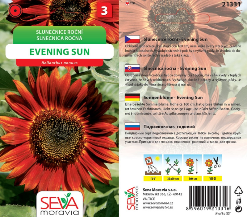 Semínka Slunečnice roční Evening Sun (Helianthus annuus)