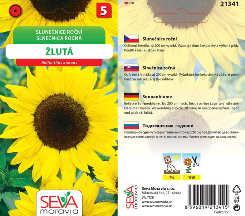 Semínka Slunečnice roční žlutá (Helianthus annuus)
