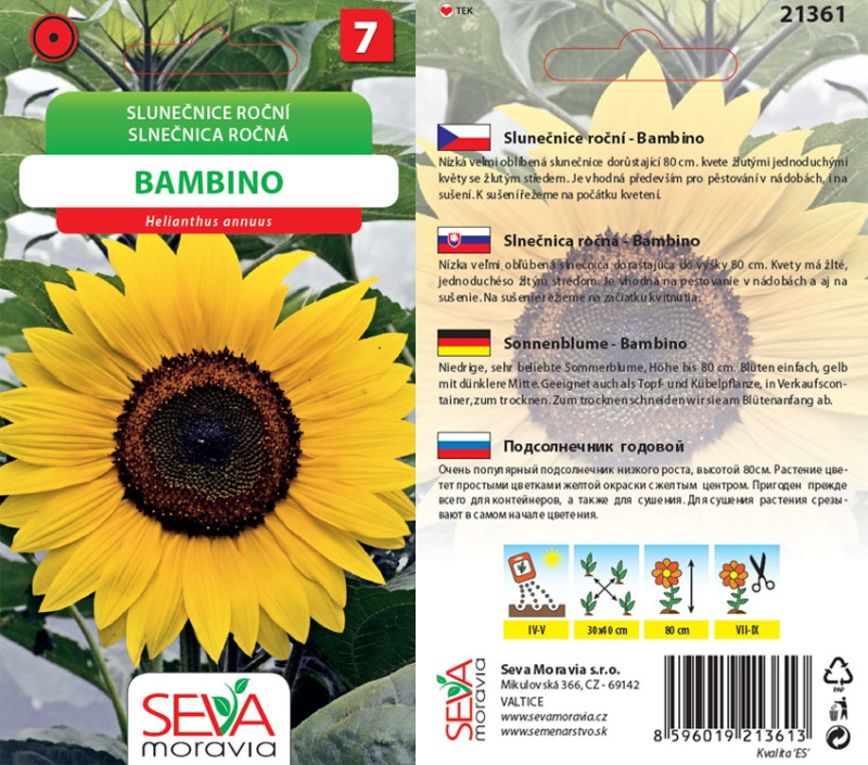 OSIVA Moravia Slunečnice roční "Bambino" (Helianthus annuus)