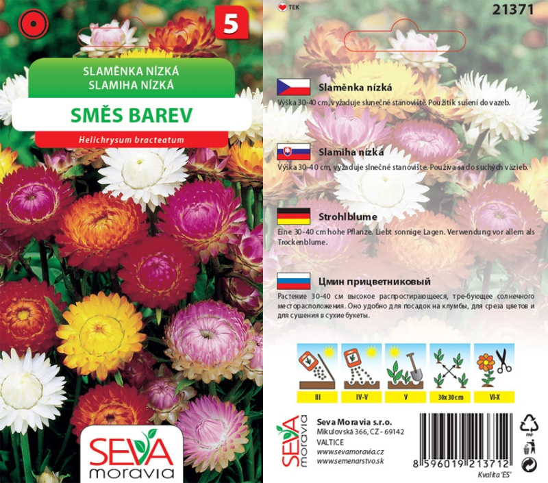 Slaměnka Nízká - směs (Helichrysum bracteatum)