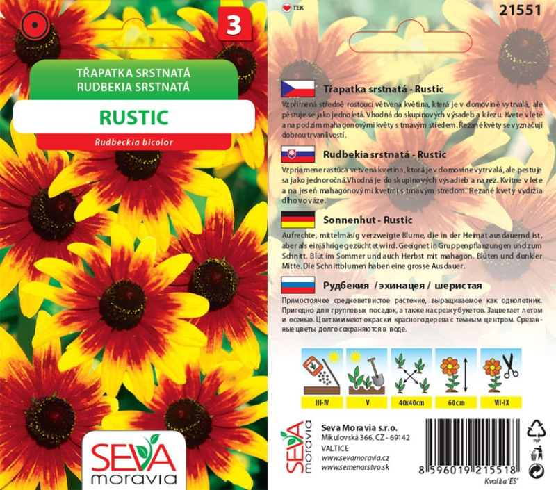 Semínka Třapatka srstnatá Rustic (Rudbeckia hirta)