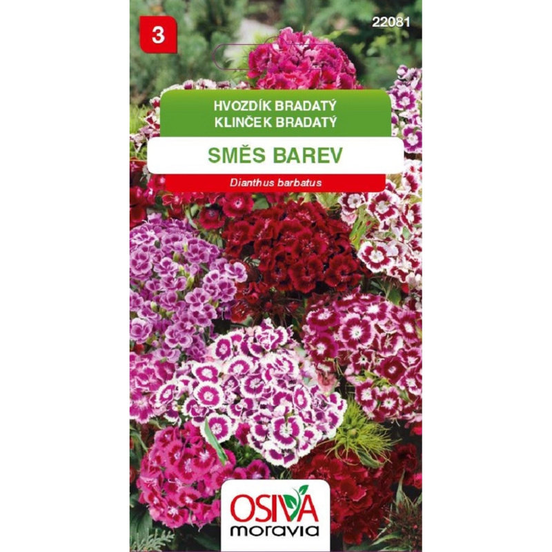 Semínka Hvozdík bradatý směs barev (Dianthus barbatus)