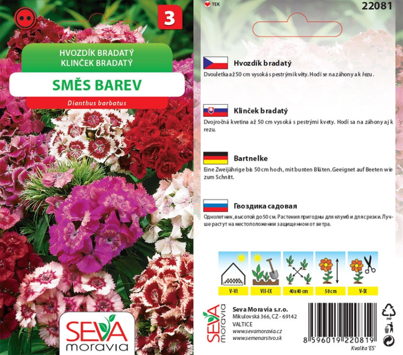 Semínka Hvozdík bradatý směs barev (Dianthus barbatus)