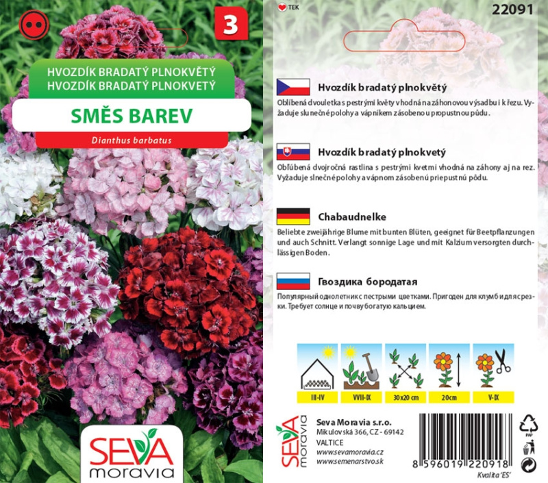 Semínka Hvozdík bradatý plnokvětý směs barev (Dianthus barbatus)