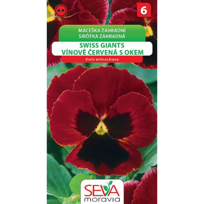 Semínka Maceška zahradní Swiss Giants vínově červená s okem (Viola wittrockiana)