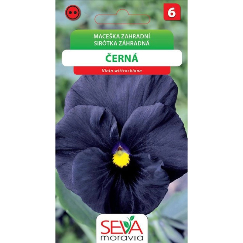Semínka Maceška zahradní černá (Viola wittrockiana)