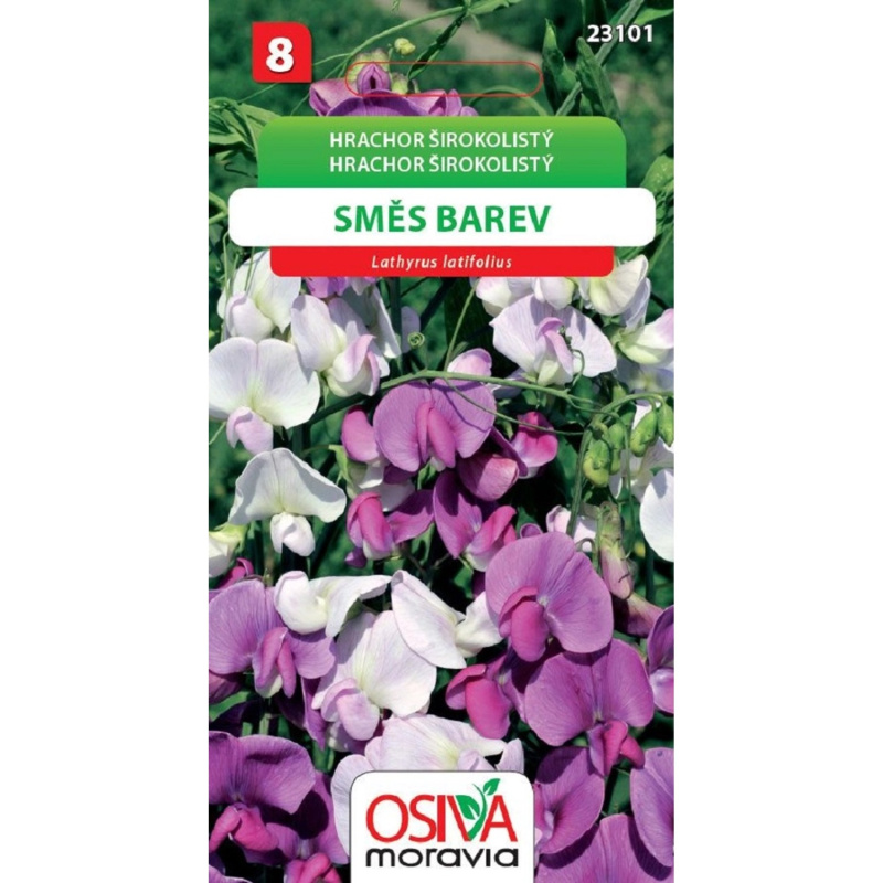 Semínka Hrachor širokolistý  směs barev (Lathyrus latifolius)