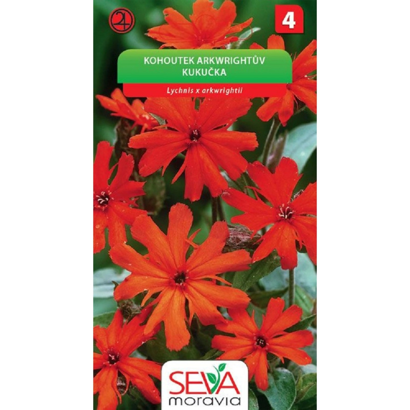 Semienka Kohoutek Arkwrightův
