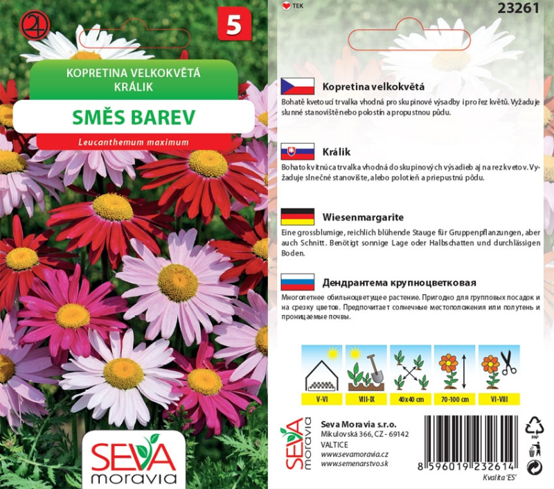Semínka Kopretina velkokvětá směs barev (Leucanthemum maximum)